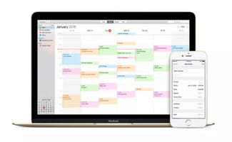 iCloud網(wǎng)頁(yè)版反垃圾功能上線 信息處理新里程，治標(biāo)更需治本